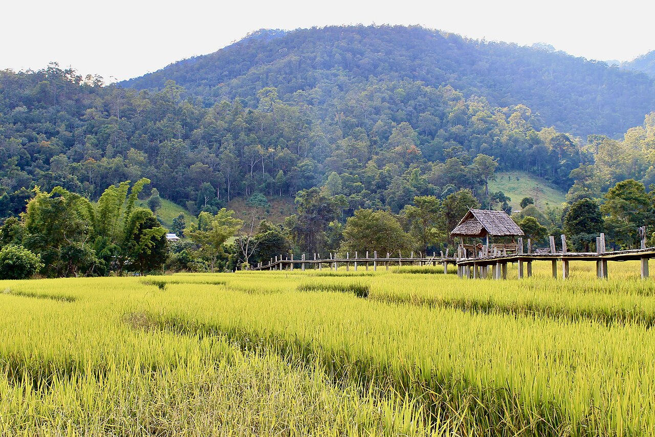 ภาพข่าวประชาสัมพันธ์