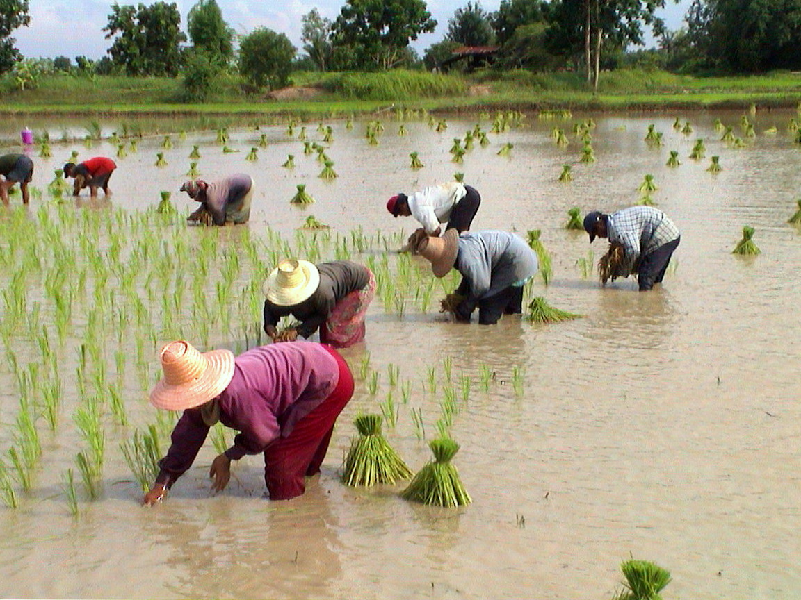 ภาพประวัติศาสตร์ชุมชน